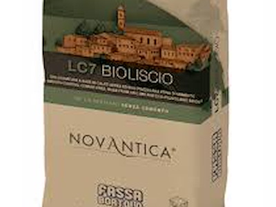 RASANTE FASSA LC7 BIOLISCIO KG 20